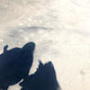 shandi_j